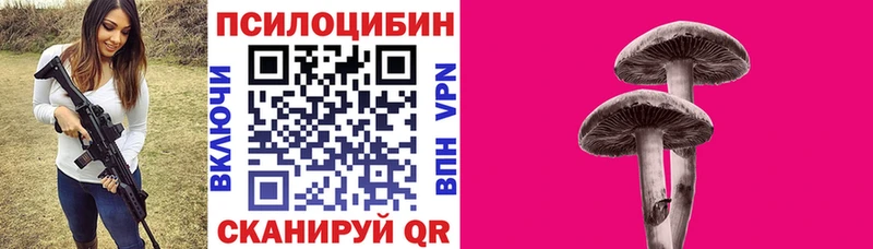 Галлюциногенные грибы Cubensis  где можно купить   Ульяновск 